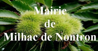 Accueil