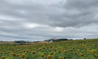 Accueil