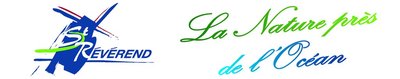 Accueil