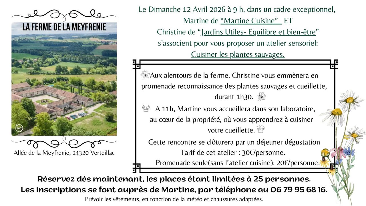 Cueillette et cuisine des plantes sauvages