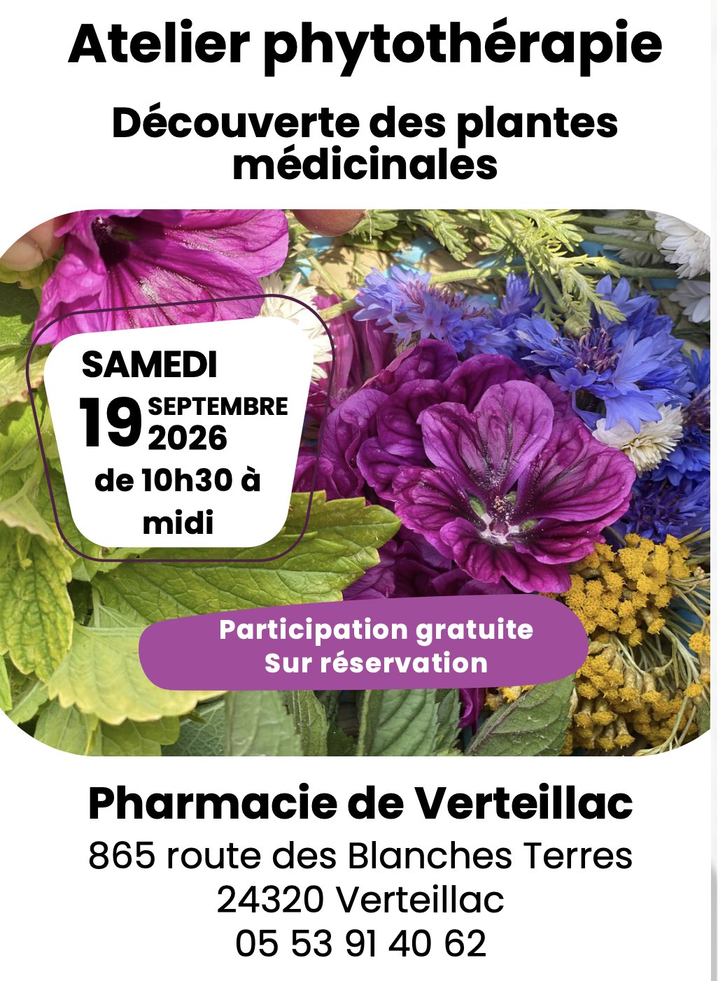 Atelier phytothérapie