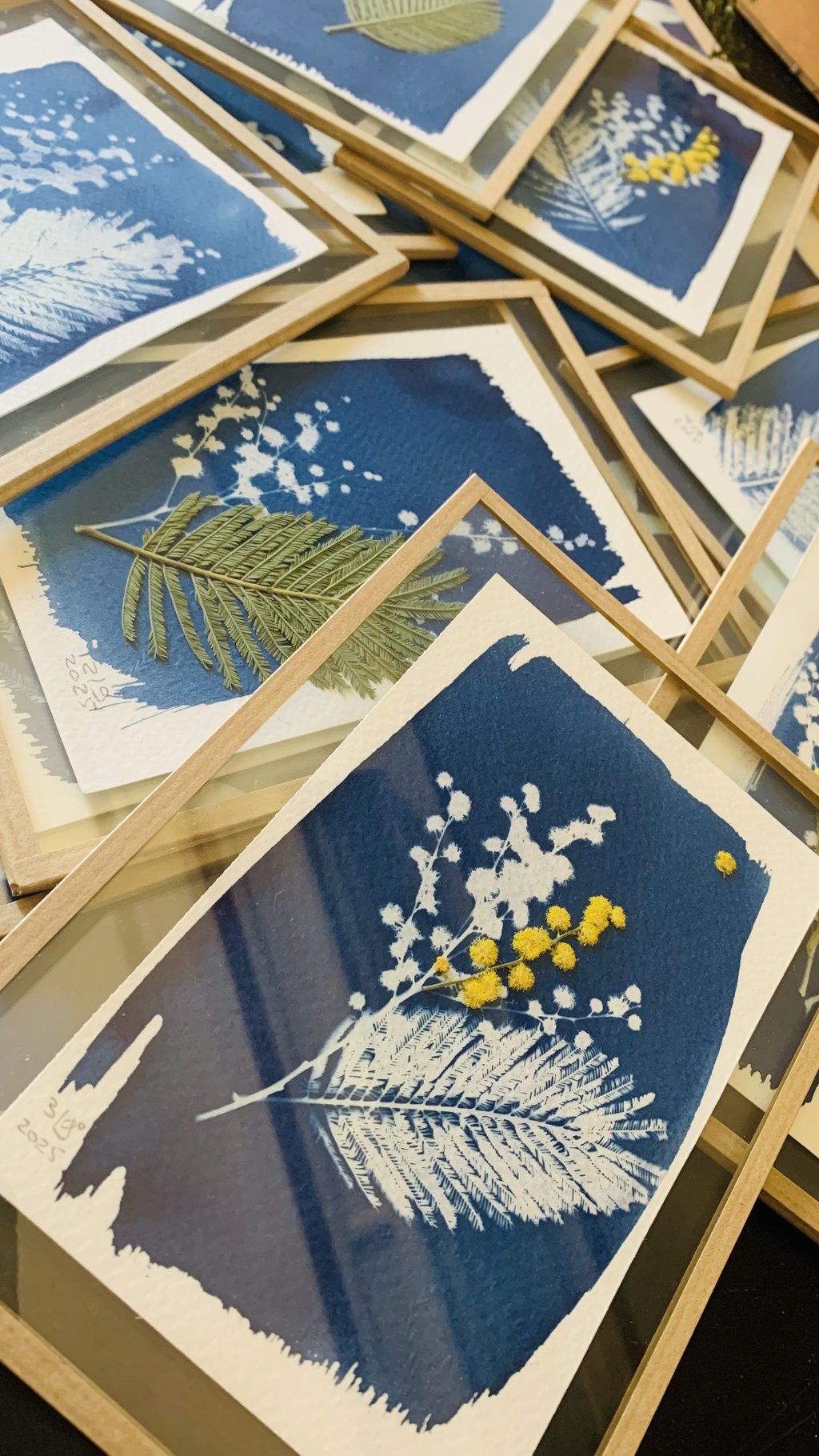 Initiation cyanotype