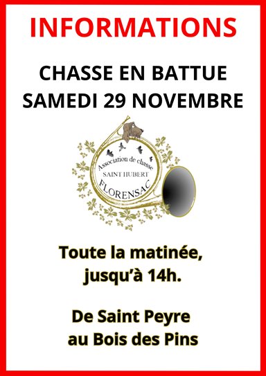 CHASSE EN BATTUE