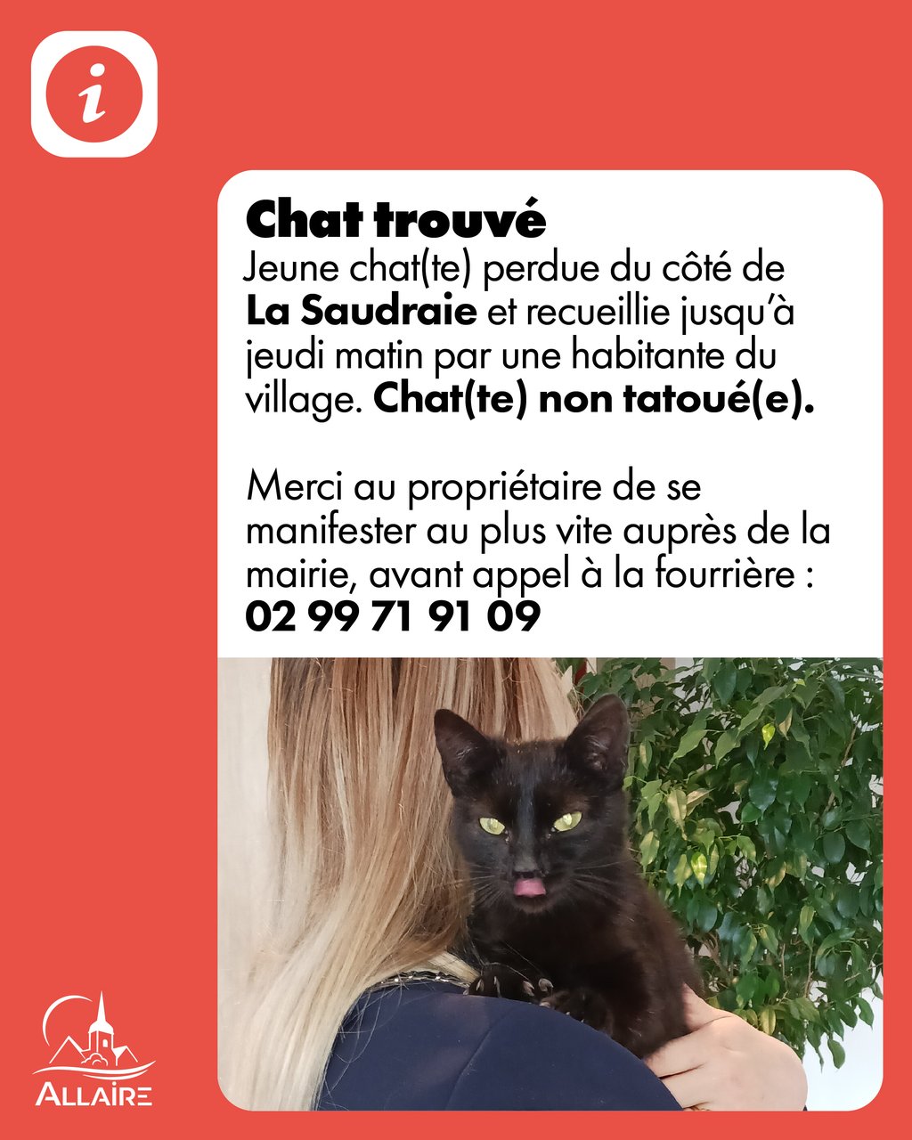 Chat trouvé