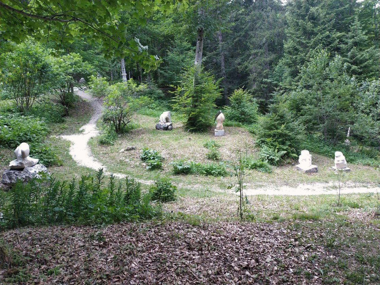 Une éclaircie au sentier des arts!🌳