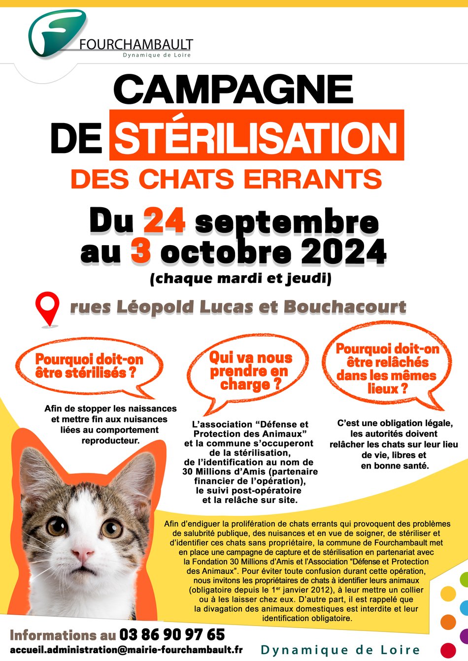 Café Chat l'Heureux (@cafechatlheureux) • Instagram photos and videos, image size:950x1343