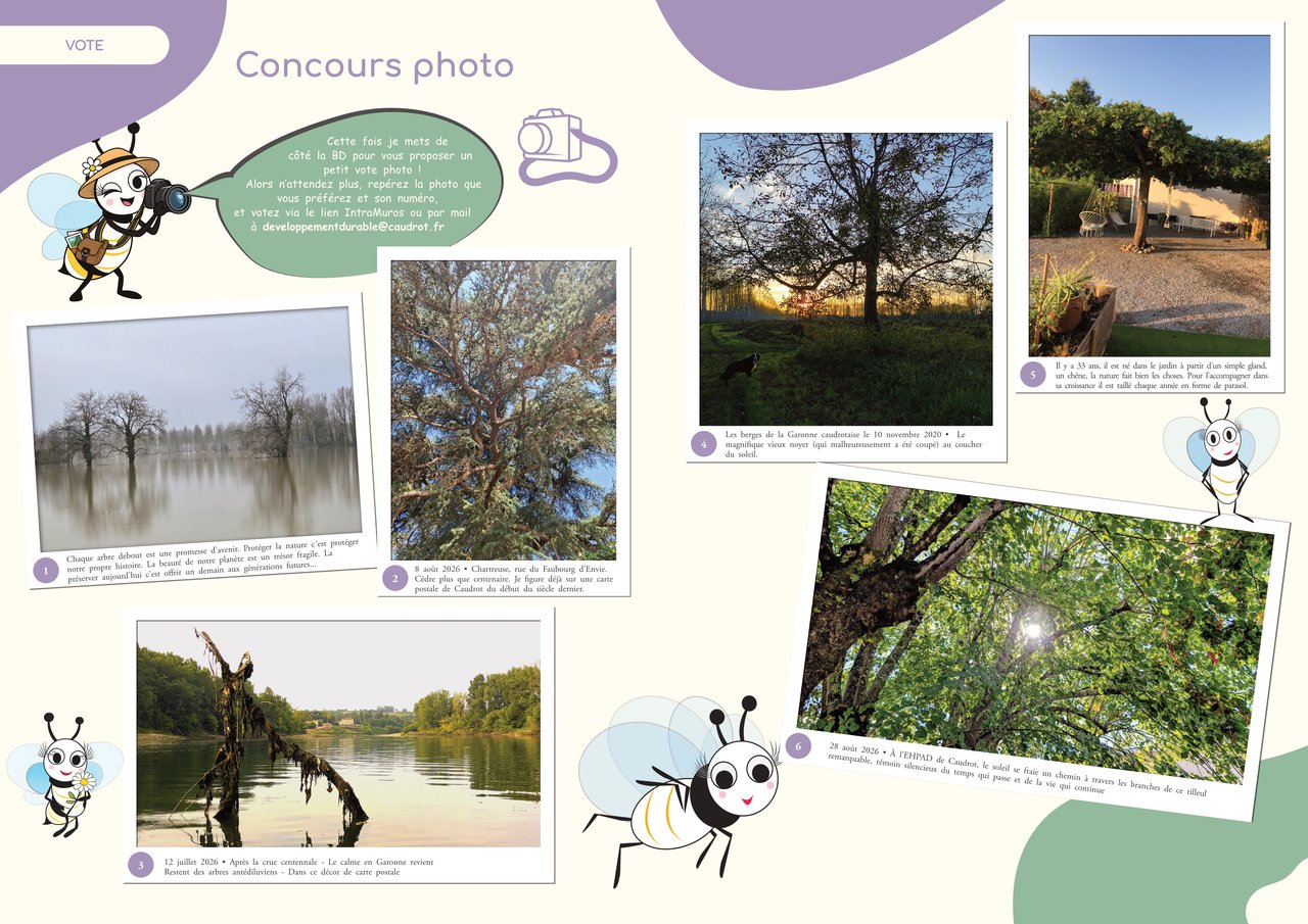 Concours Photo : Les arbres remarquables caudrotais