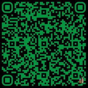 SOLIDARITÉ : Participez à la réflexion sur le bien-vivre des 65 ans et plus dans notre commune.