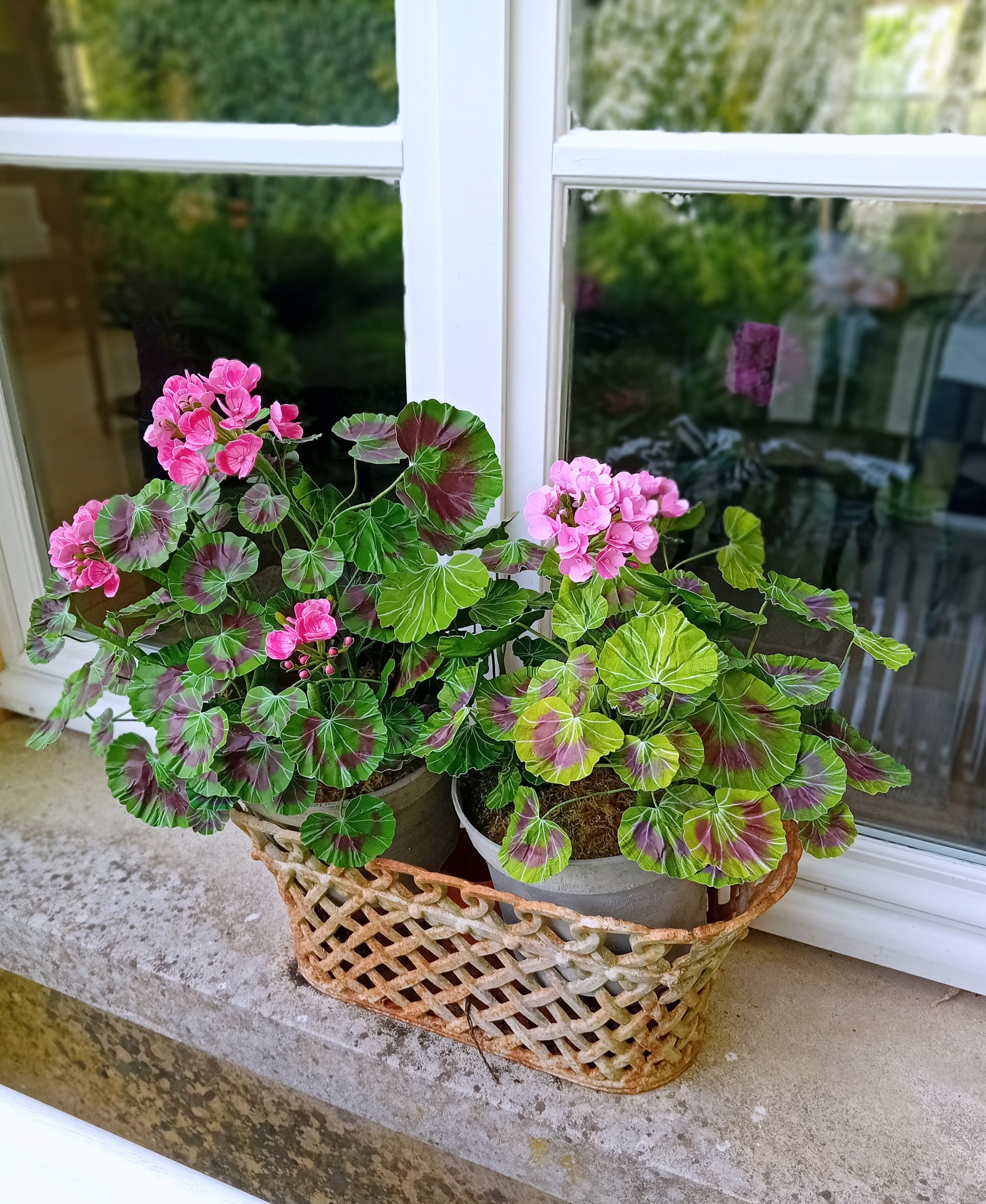 fleurs helene leseigneur