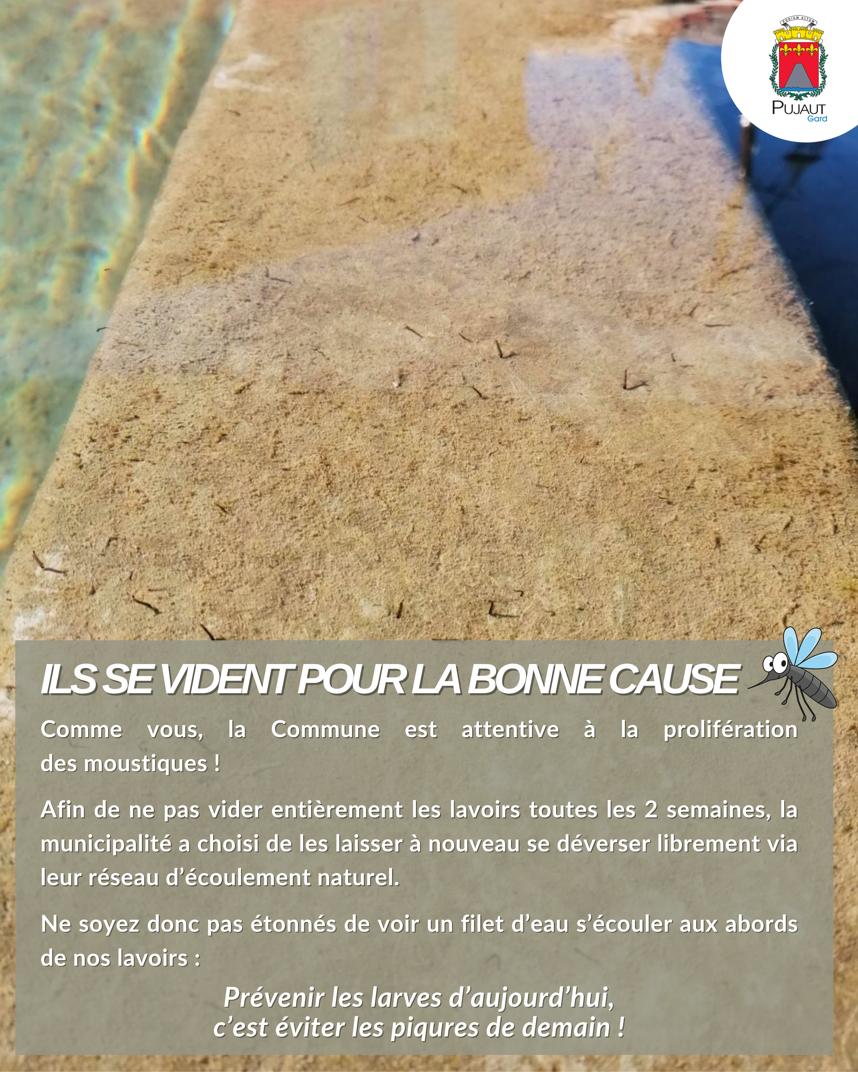 Ils se vident pour la bonne cause