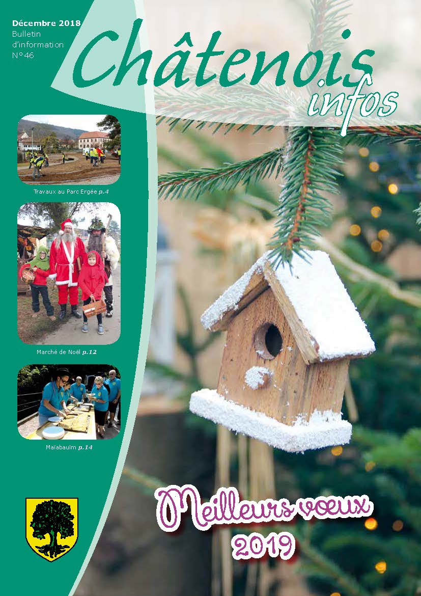 Bulletin Municipal Juin 2006