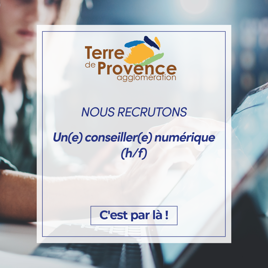 emploi conseiller numérique