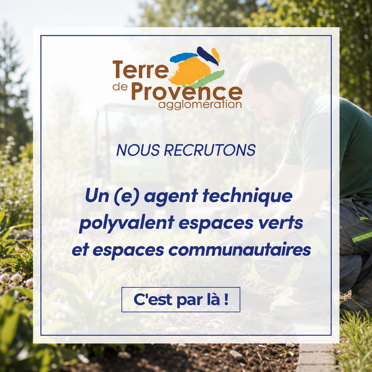 offre emploi gestionnaire carrière/paye