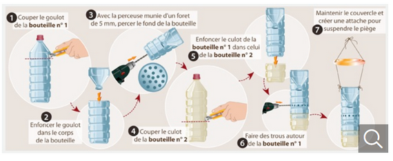 Frelon.3.PNG