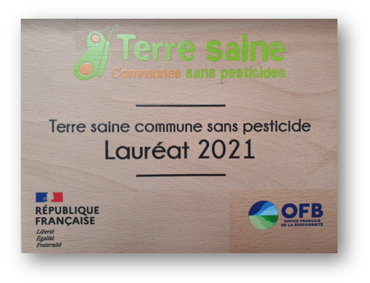 Terre Saine
