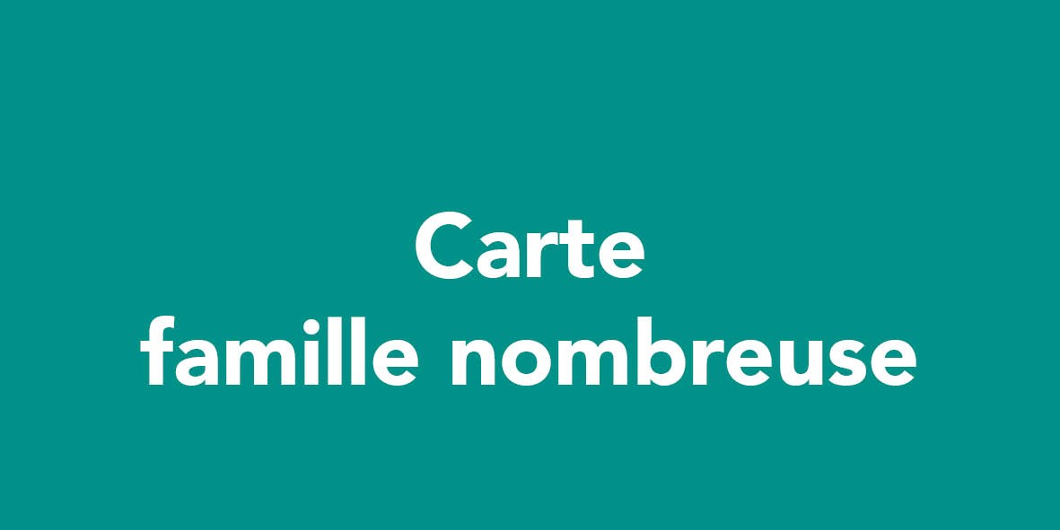 famille nombreuse